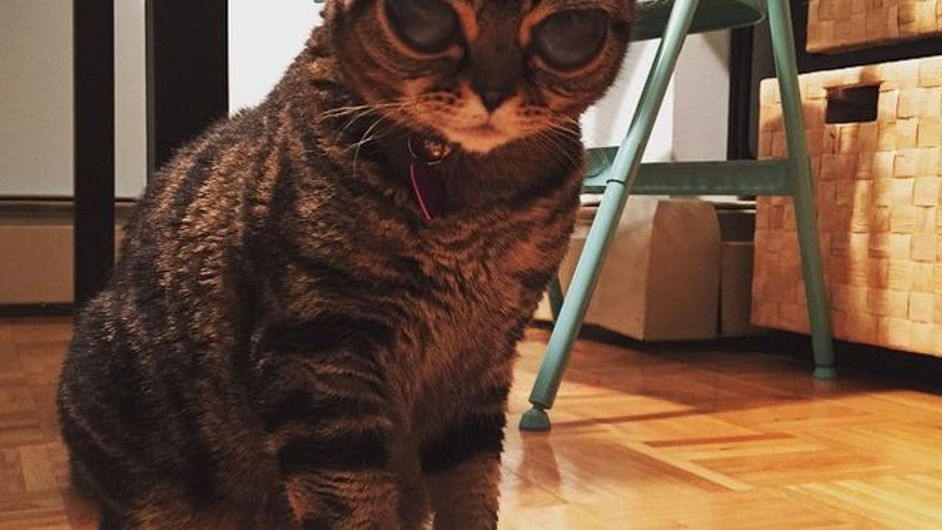 Men doimo hojatxonaga yuguraman va olatim qichiydi.