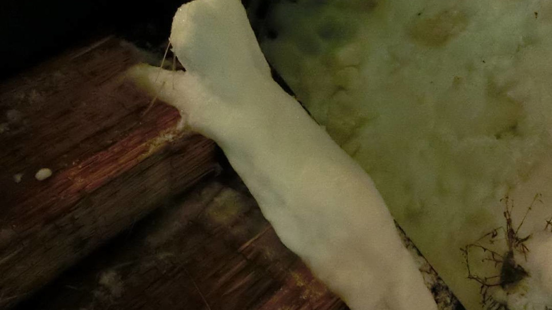 Dush kabinalarini kozdan kechirish