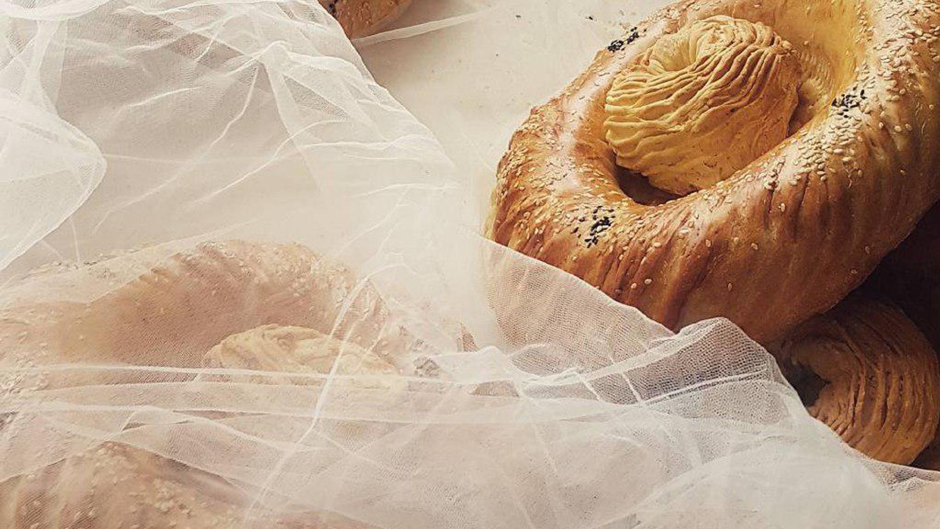 U eshagida yiglay boshladi.