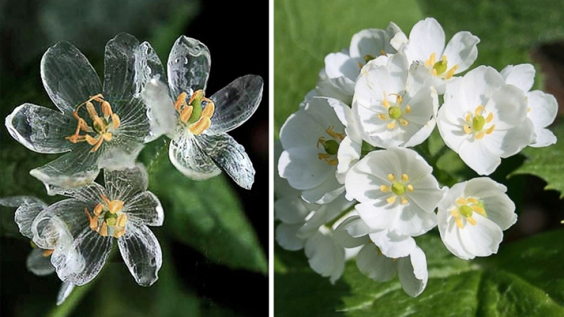 Non zavodida jinsiy aloqa video