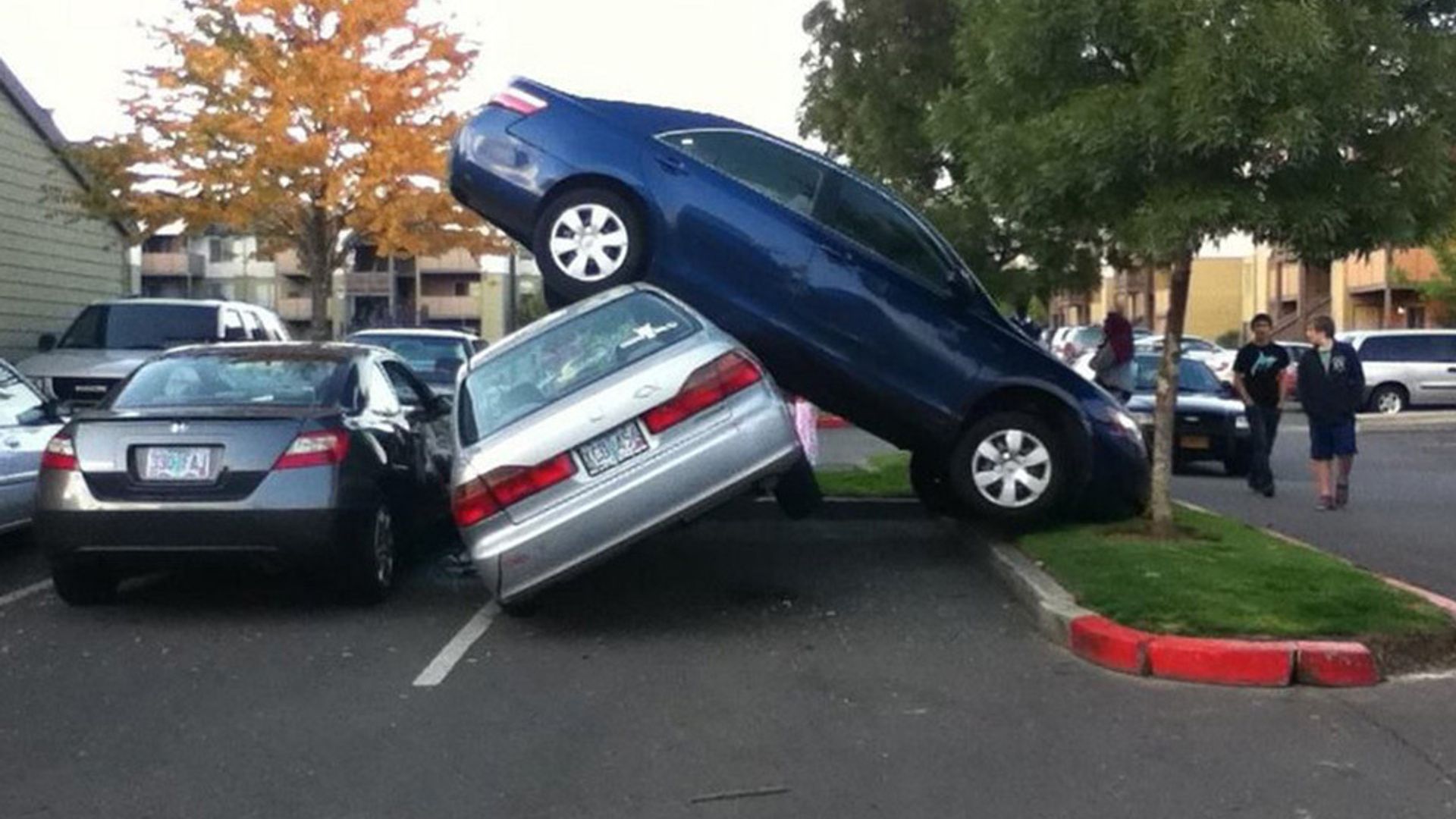 Ular avtomobil fotosuratida jinsiy aloqada bolishadi