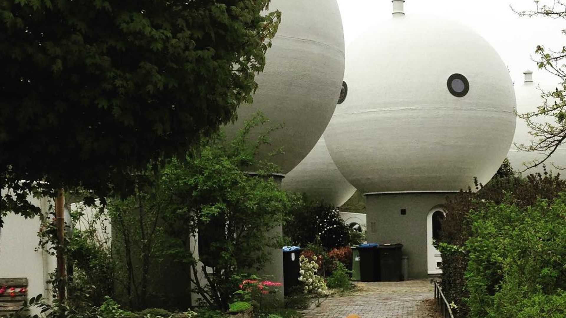 Bakugan Runo bilan jinsiy aloqa