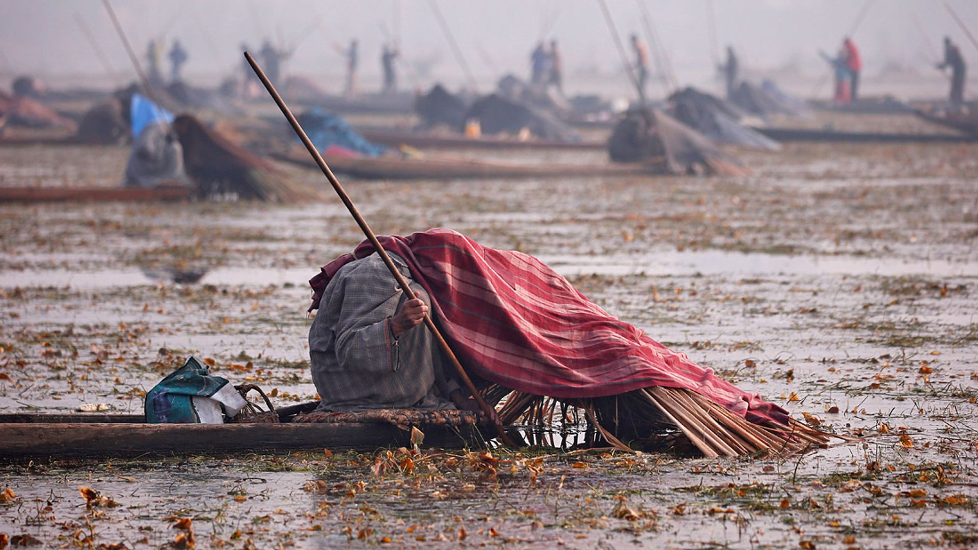 Ular juda chiroyli qizlarning ichiga kiradilar