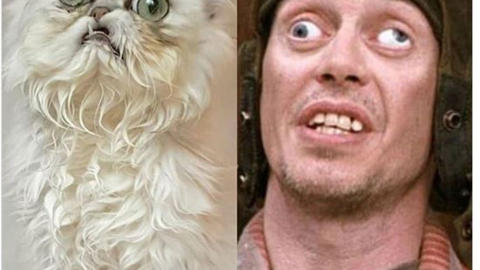 Purosta jinsiy aloqa