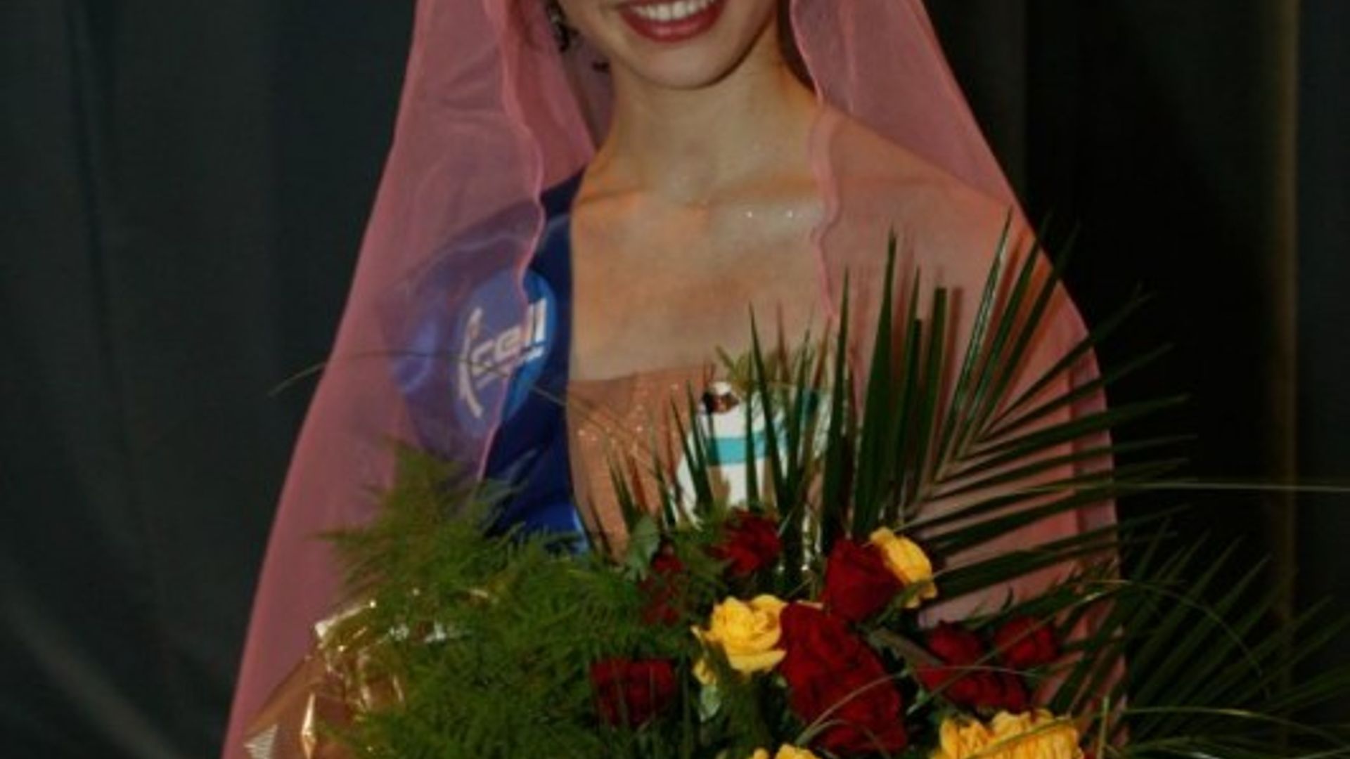 Hol külotlarda mushuklar