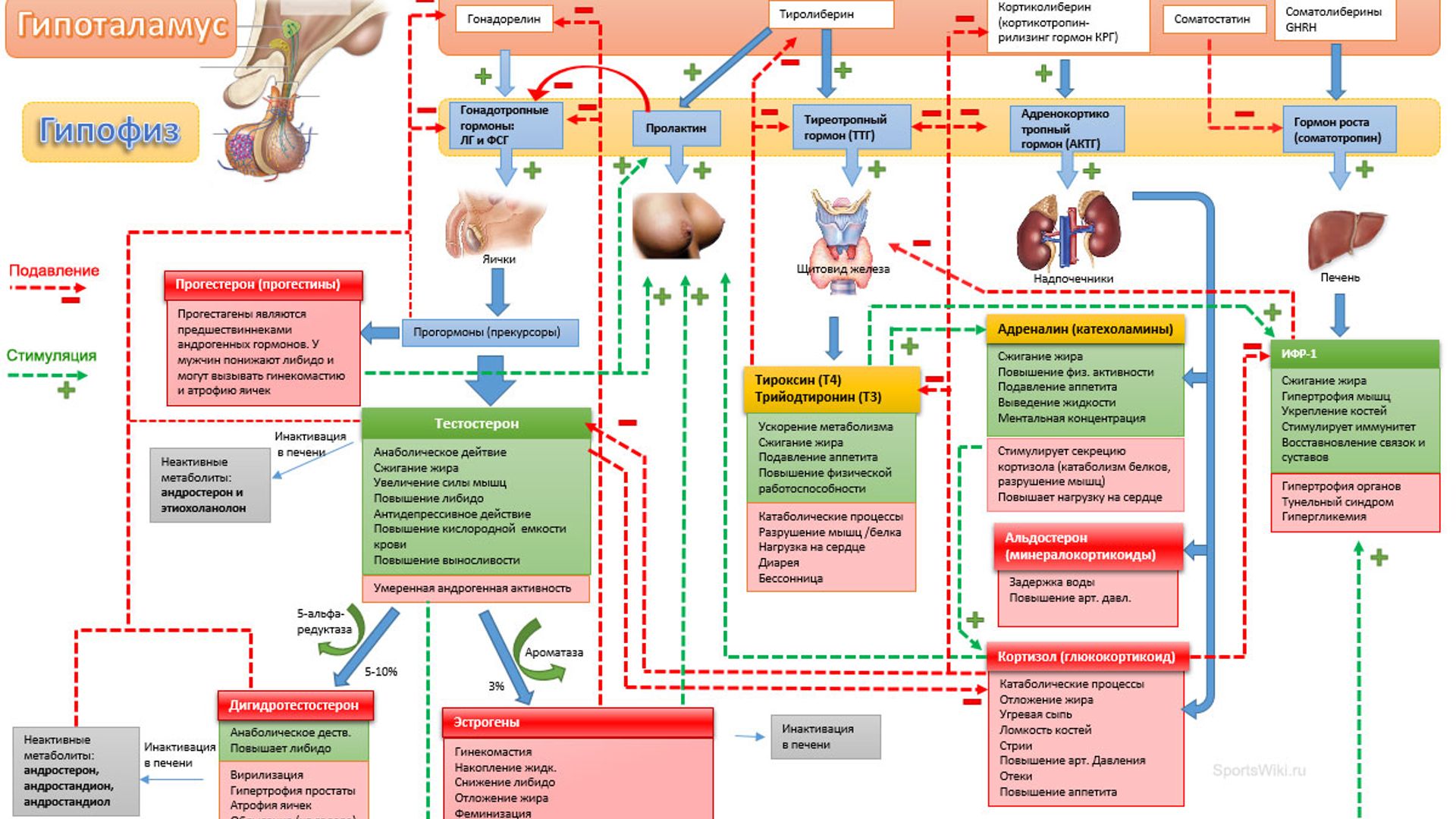 Anastasiya Tsvetaeva jinsiy aloqa rasmlar