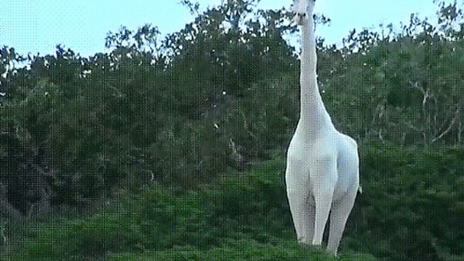 Talabaning ogziga soling