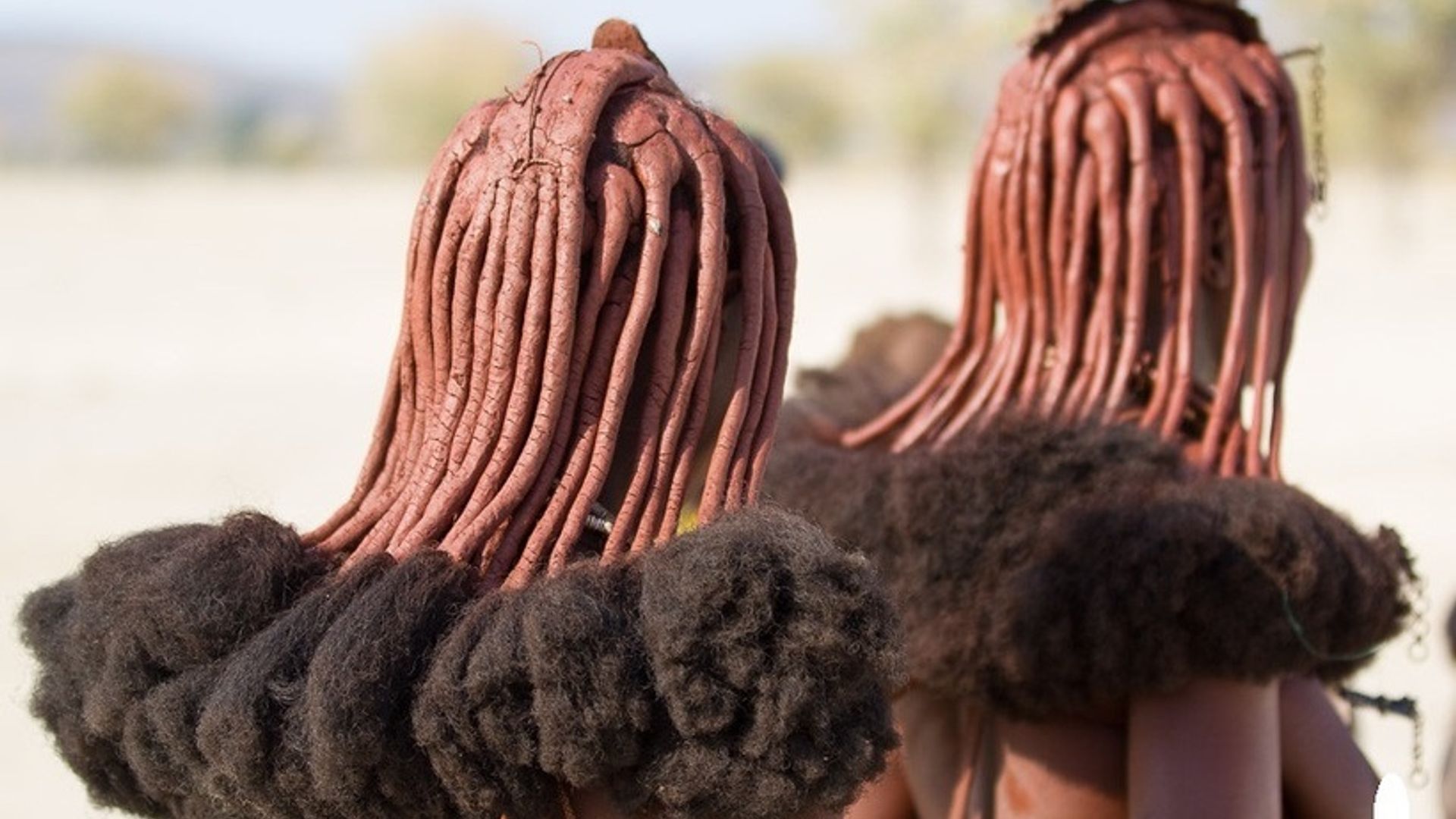 Soqolini olgan mushukning surati