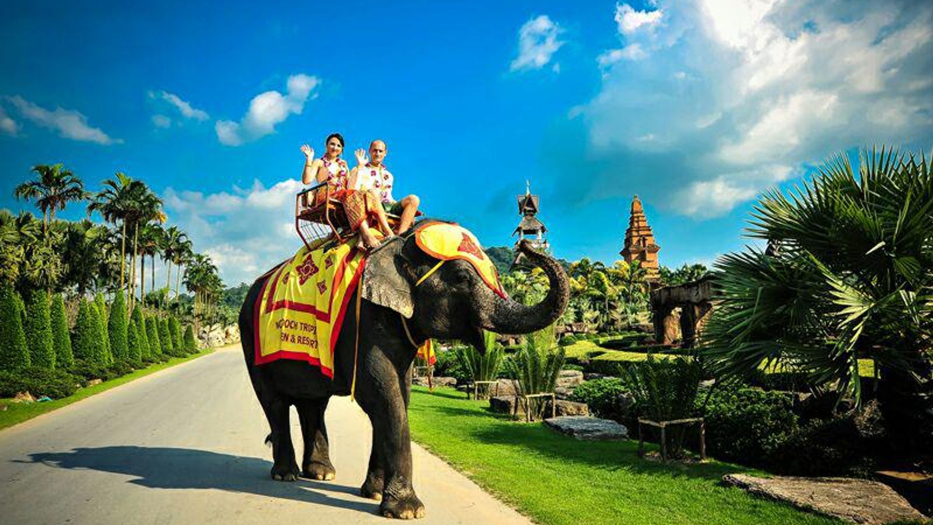 Qattiq kaltaklar suratlari