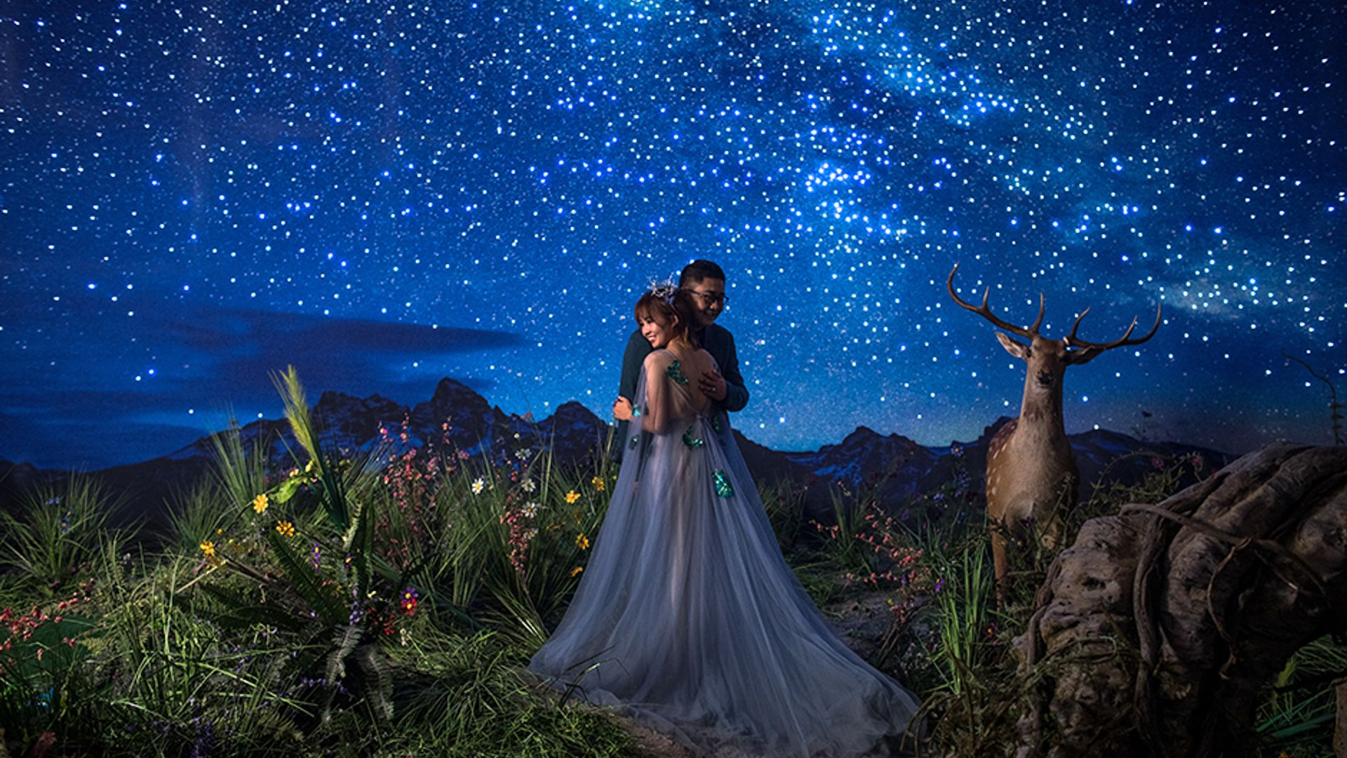 Xola mehmonga keldi filmi (porno)