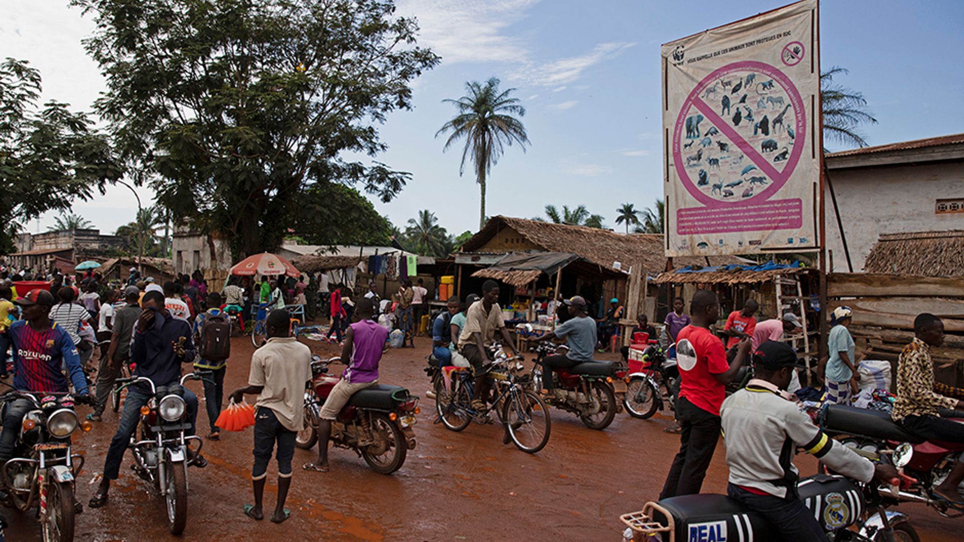 Rokko porno Ruminiya kasting