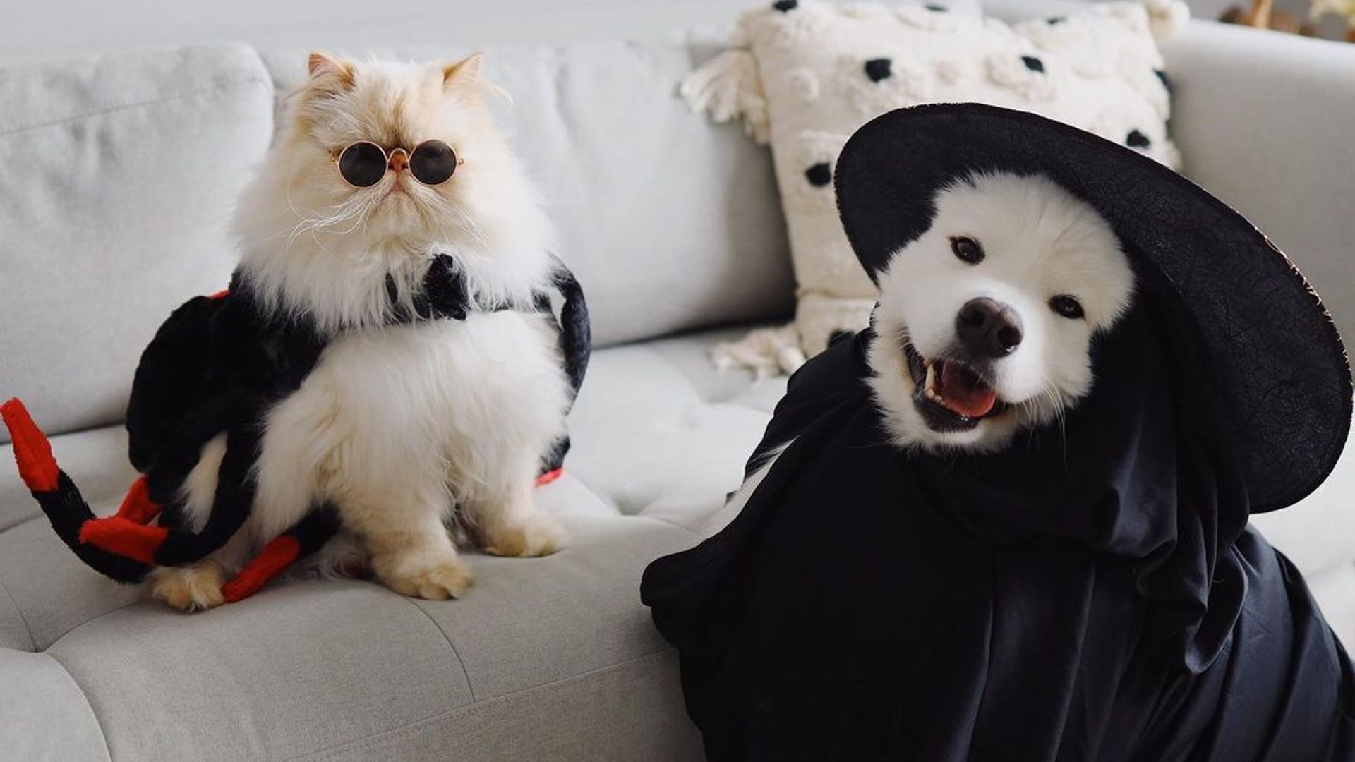 Xususiy uy qurilishi havaskor porno videolar