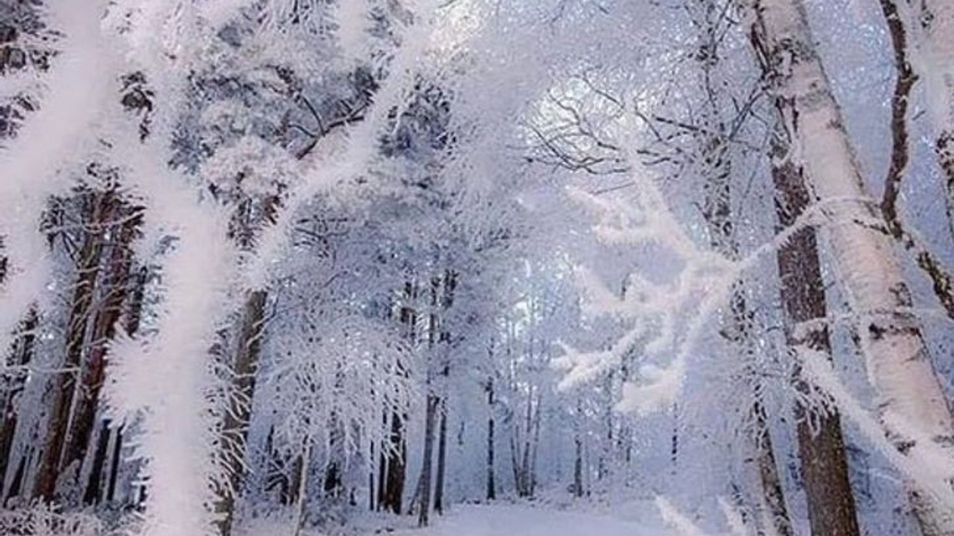 Uch dost tomonidan sikilgan xotinining surati