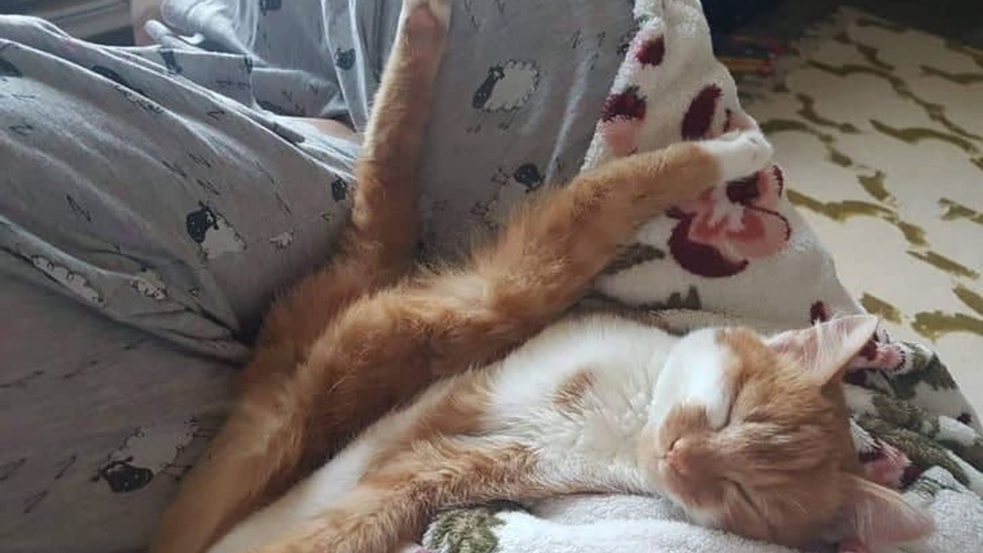 Yalangoch sochli qizlarni tomosha qiling