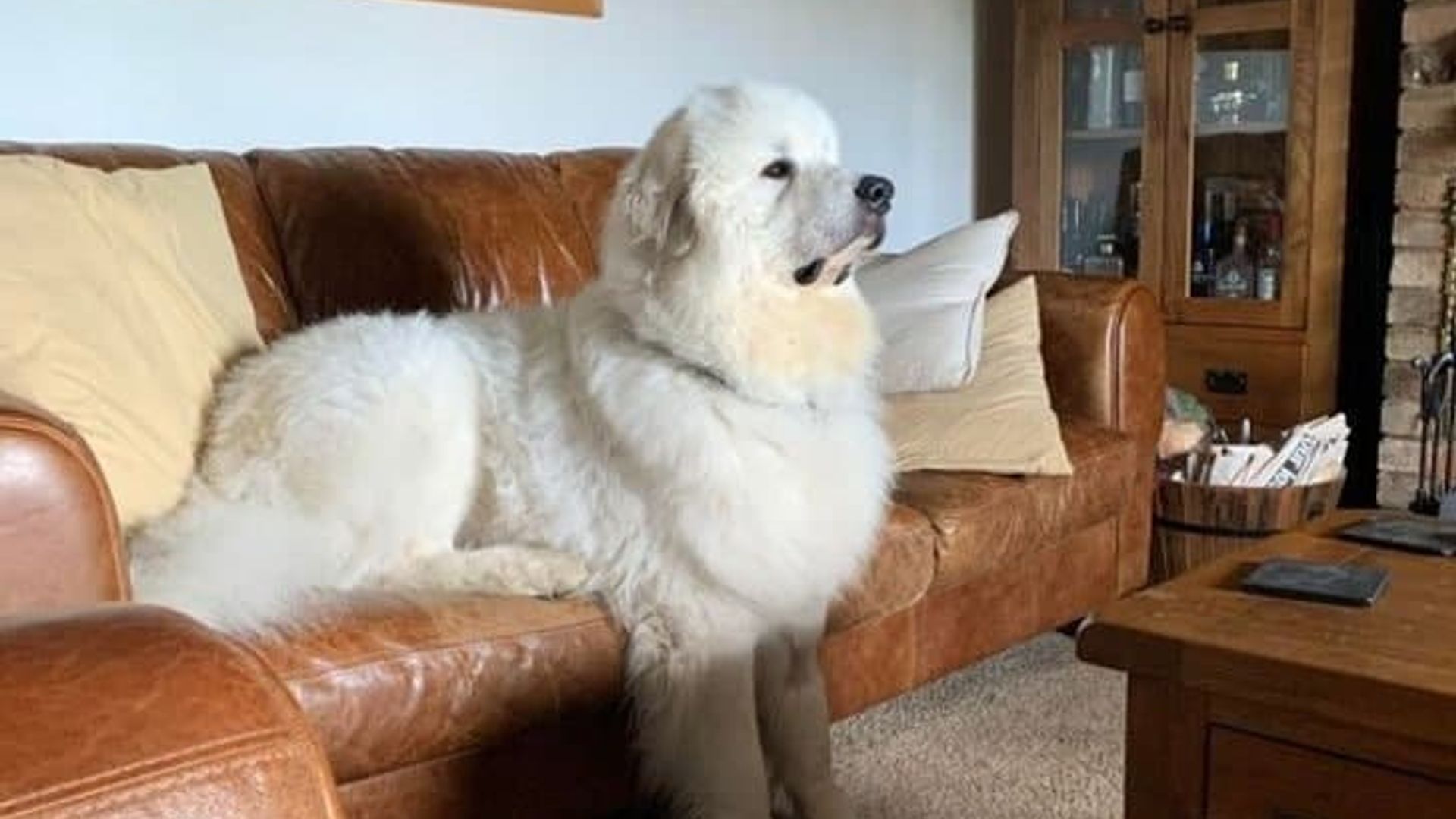 Ayollar onanizm video