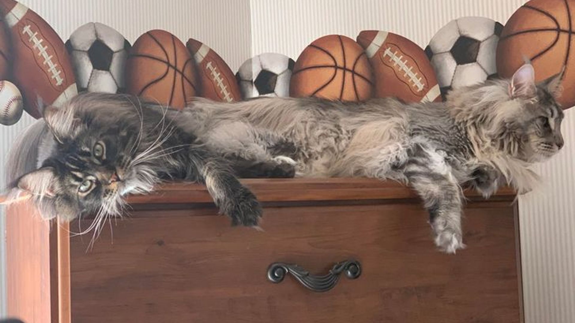 U rus pornosini onlayn tomosha qilishni xohlamadi.