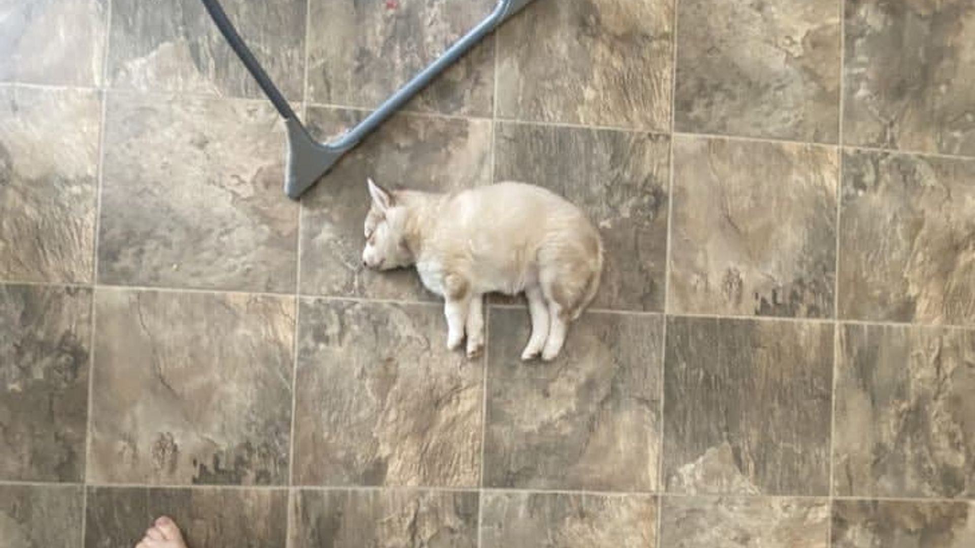 Kichkina ogil ona jinsiy aloqa