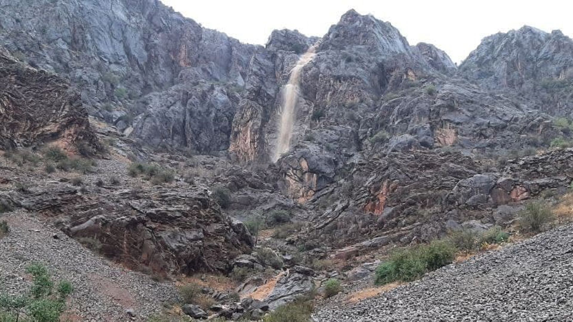 Jinsiy ona va 12 yoshli ogli