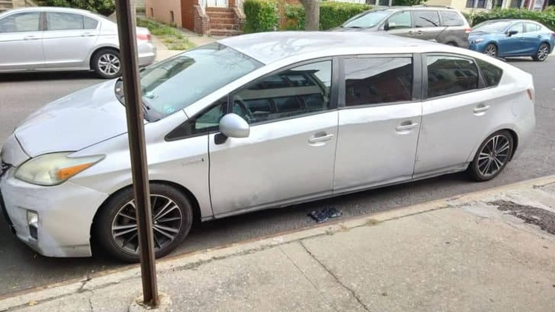 Mushuk suratga tushmoqchi