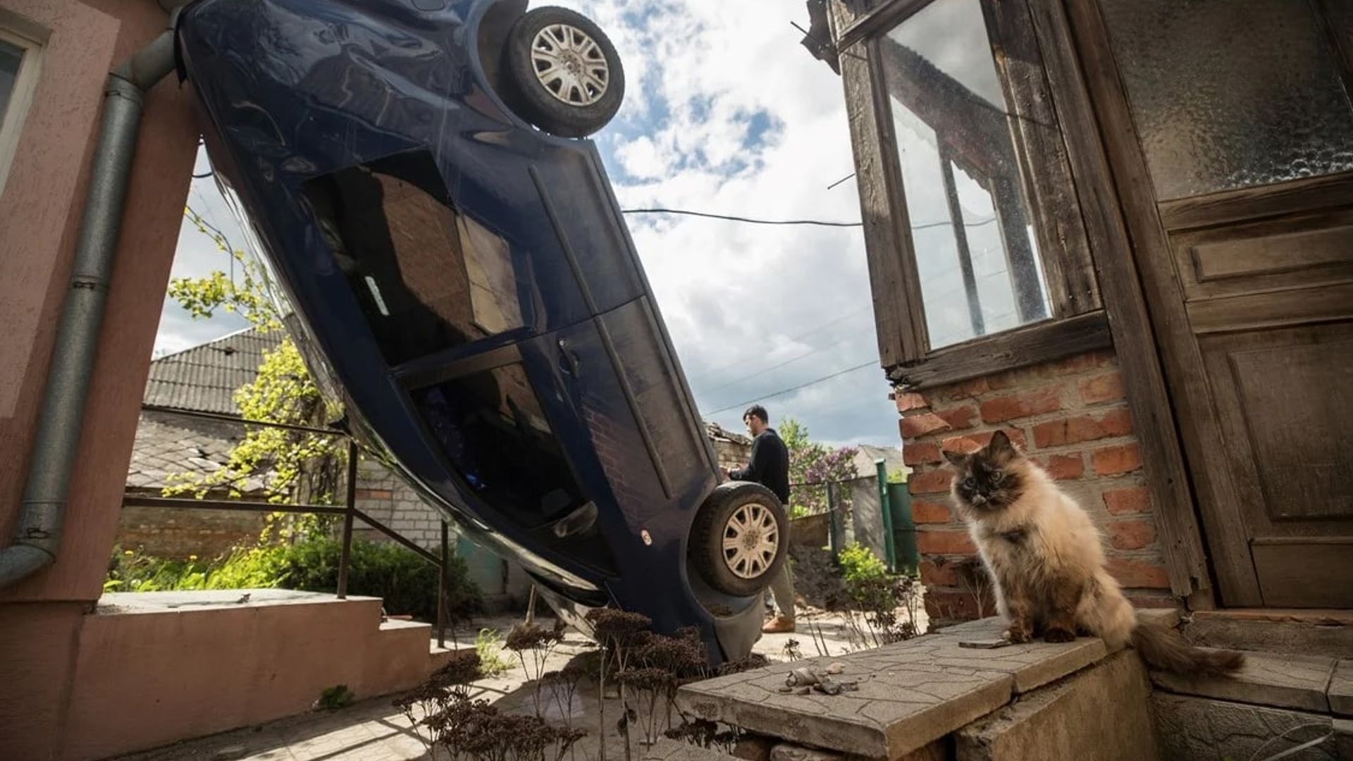 Turgan jinsiy aloqa onlayn yuzma-yuz