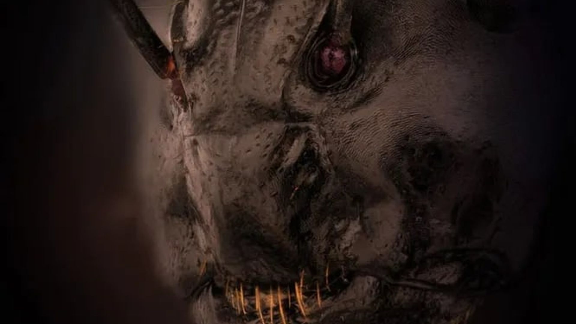 Xxx transseksual toy