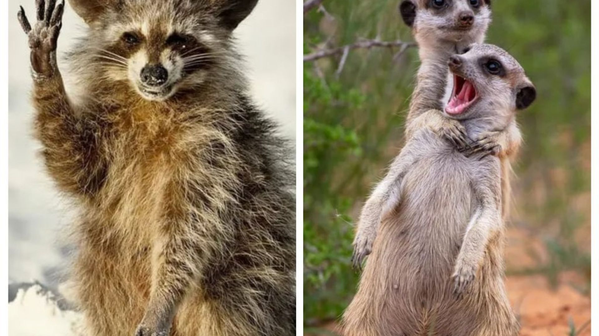 Vibrator bilan xususiy porno video