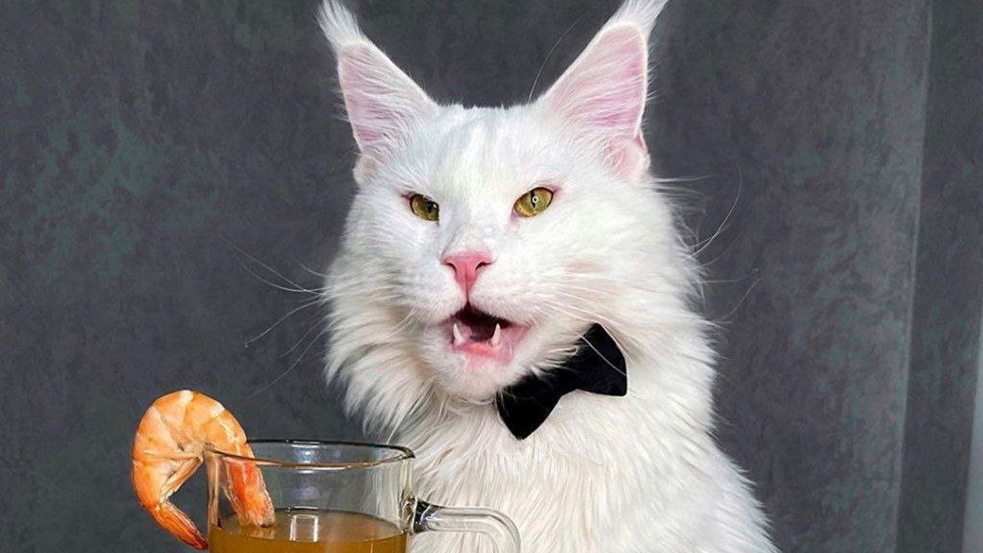 Yandex video porno filmlar onlayn - a-go.ru