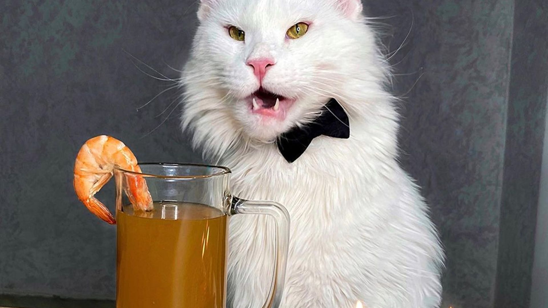 Xolalarning eski yalangoch eshaklari