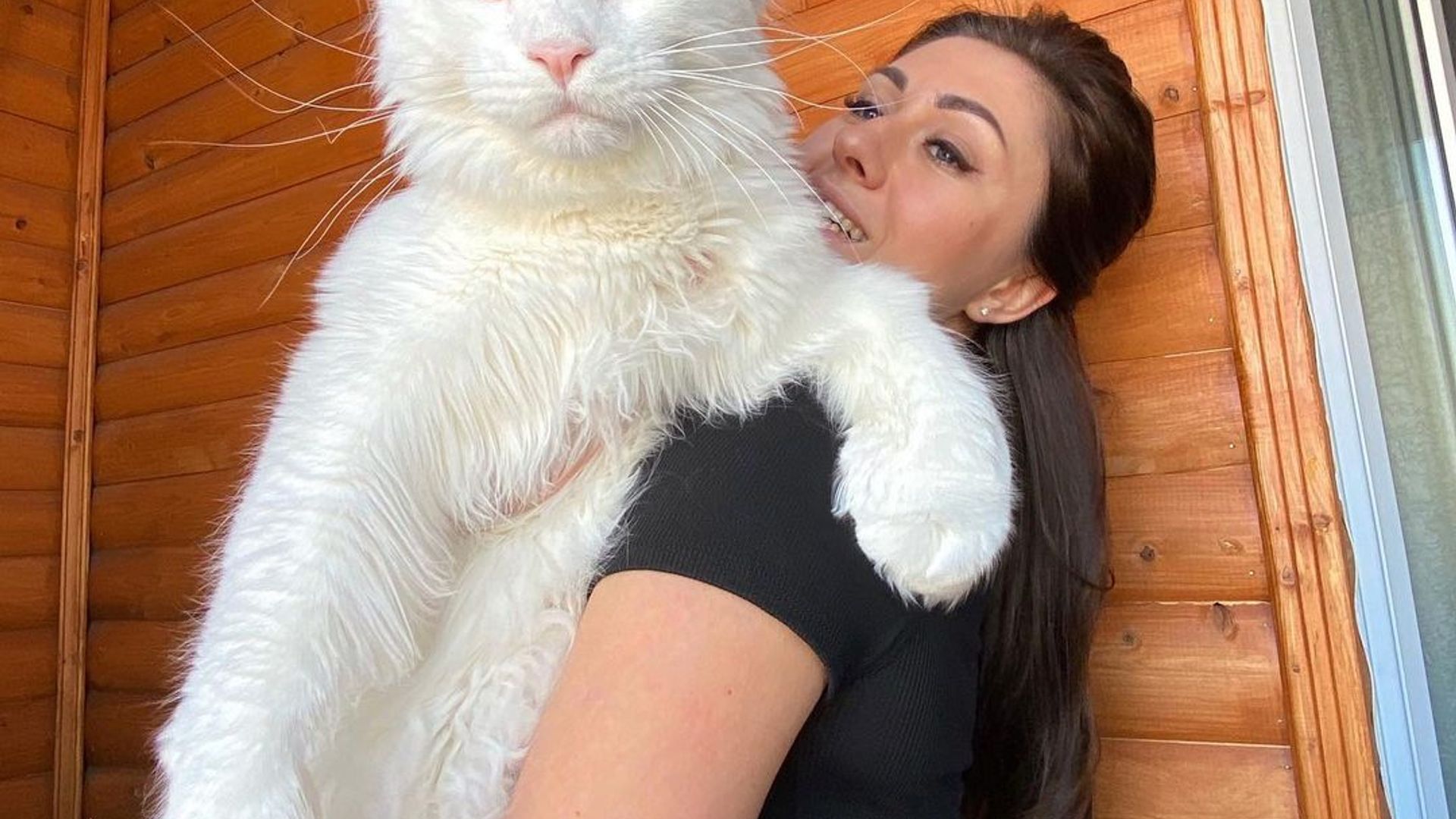 Uy 2 Seyshel orollari porno