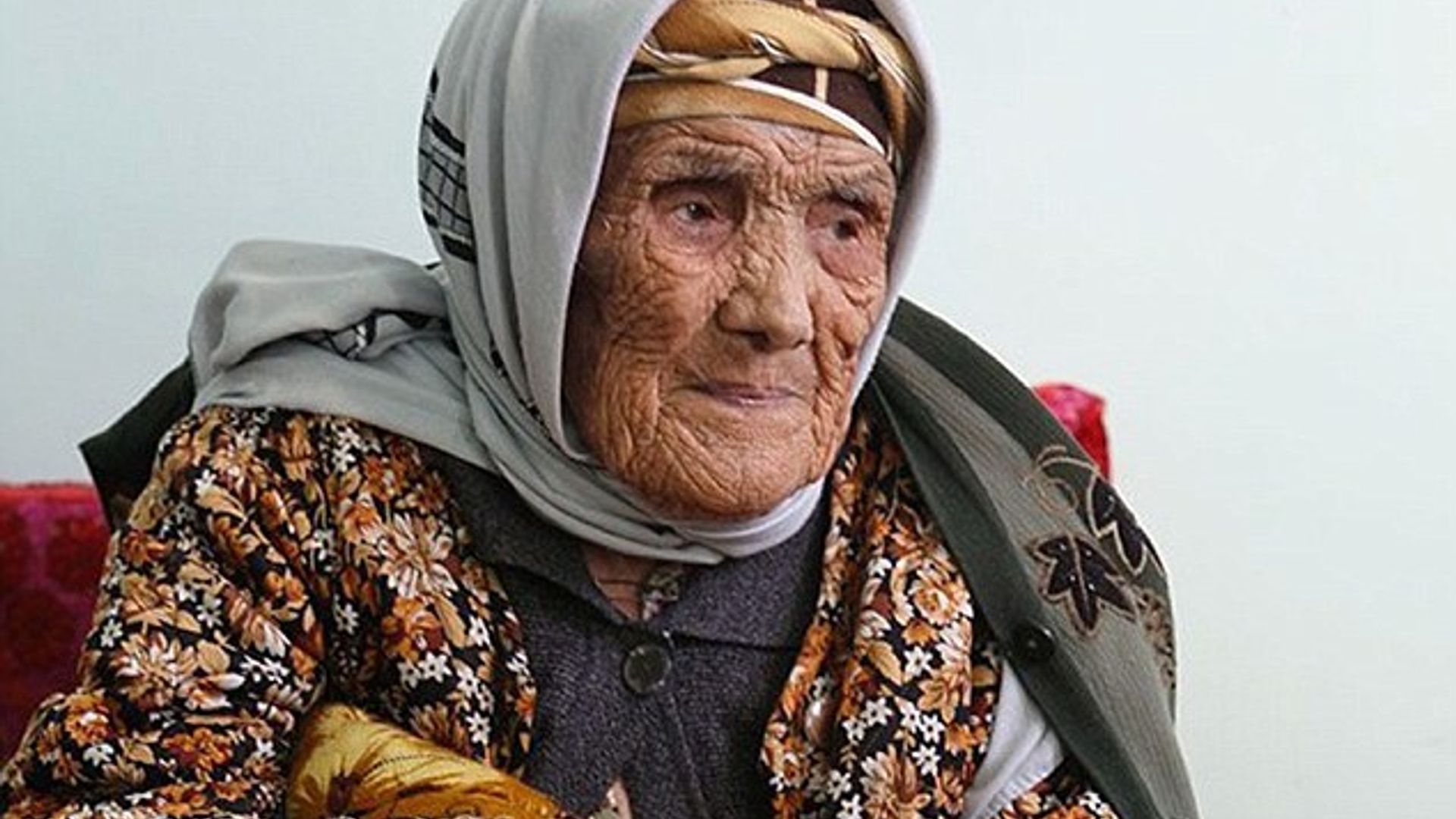 Ironiya bilan jinsiy aloqa haqida Katta kaltaklar bilan jinsiy aloqa