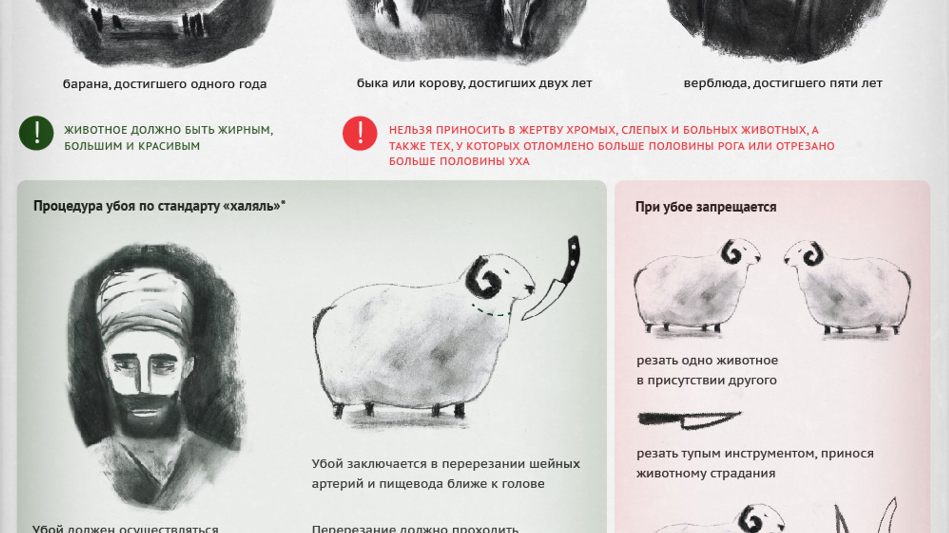 Rus ayol shifokor tomonidan tekshirilmoqda Onlayn retro porno filmlardan sahnalar