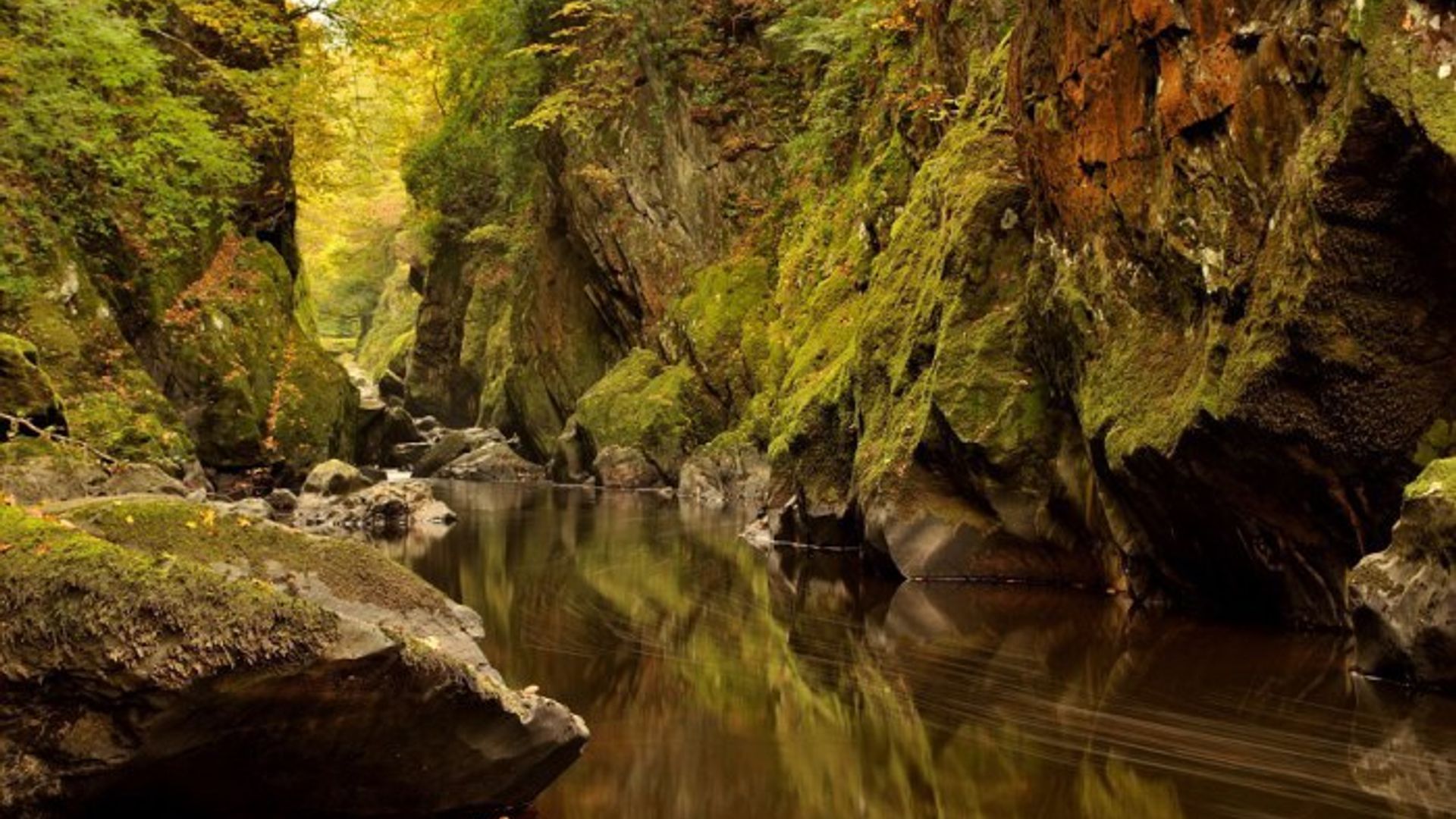 Semiz odamlarning jinsiy aloqa videolari Semiz etuk ayollar mushuklarining fotosuratlari