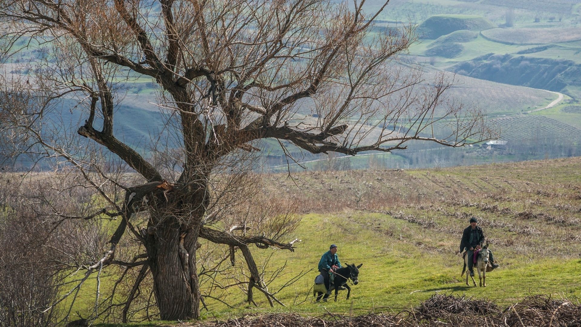 Zelenograddagi shaxsiy yalangoch fotosuratlar Zelenograddagi shaxsiy yalangoch fotosuratlar