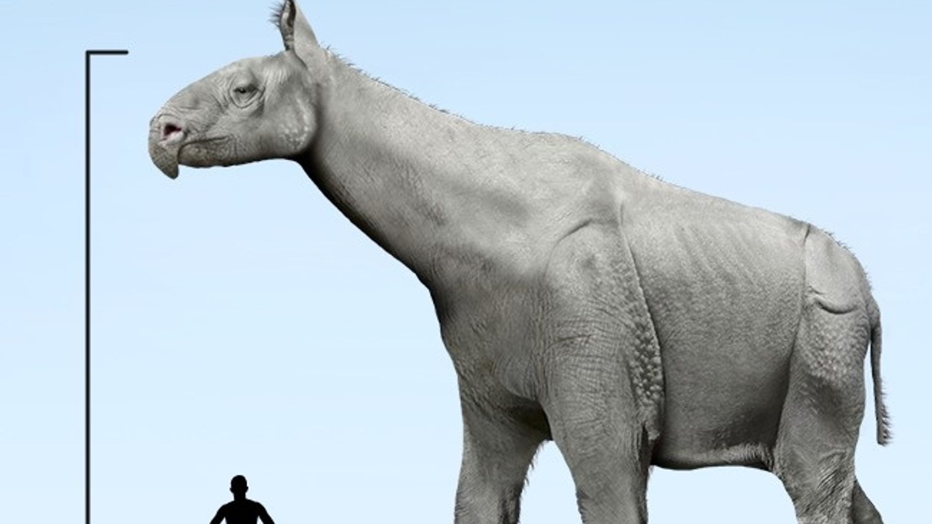 Yalangoch tojik ayollari video Oltin yomgir va jinsiy aloqa haqida videoni tomosha qiling.