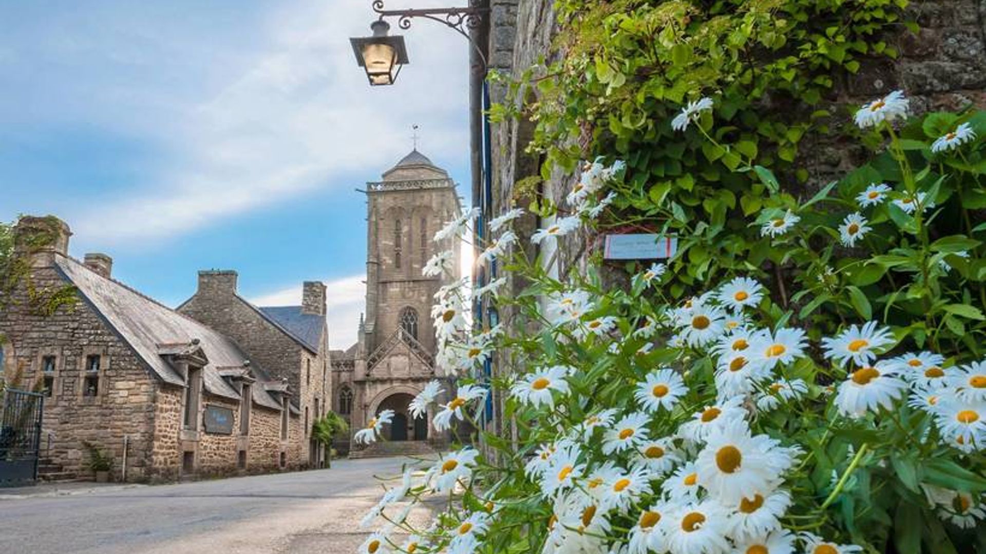 Moynali kiyimlardan, it uslubidagi ayolning porno fotosuratlari Tranniyaga tashrif buyurgan yigit