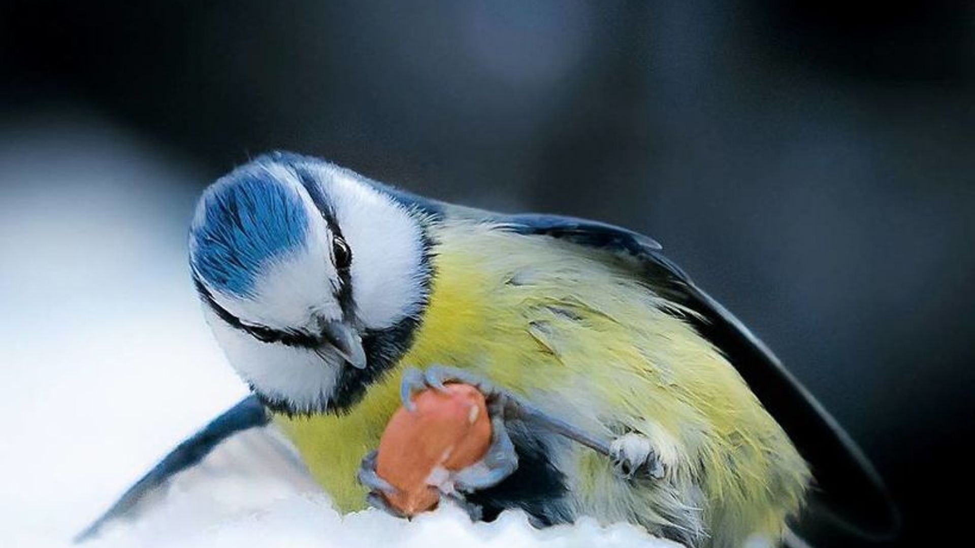 Inglizlar jinsiy aloqada nimani yoqtirishadi? Faqat rus tilidagi porno