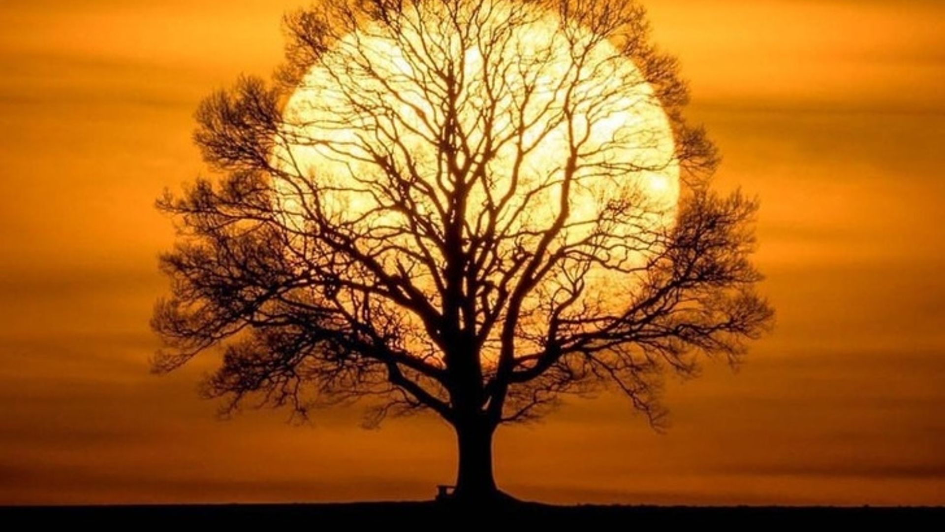 Yaqin planda mushuk porno Ukraina milliy porno surat