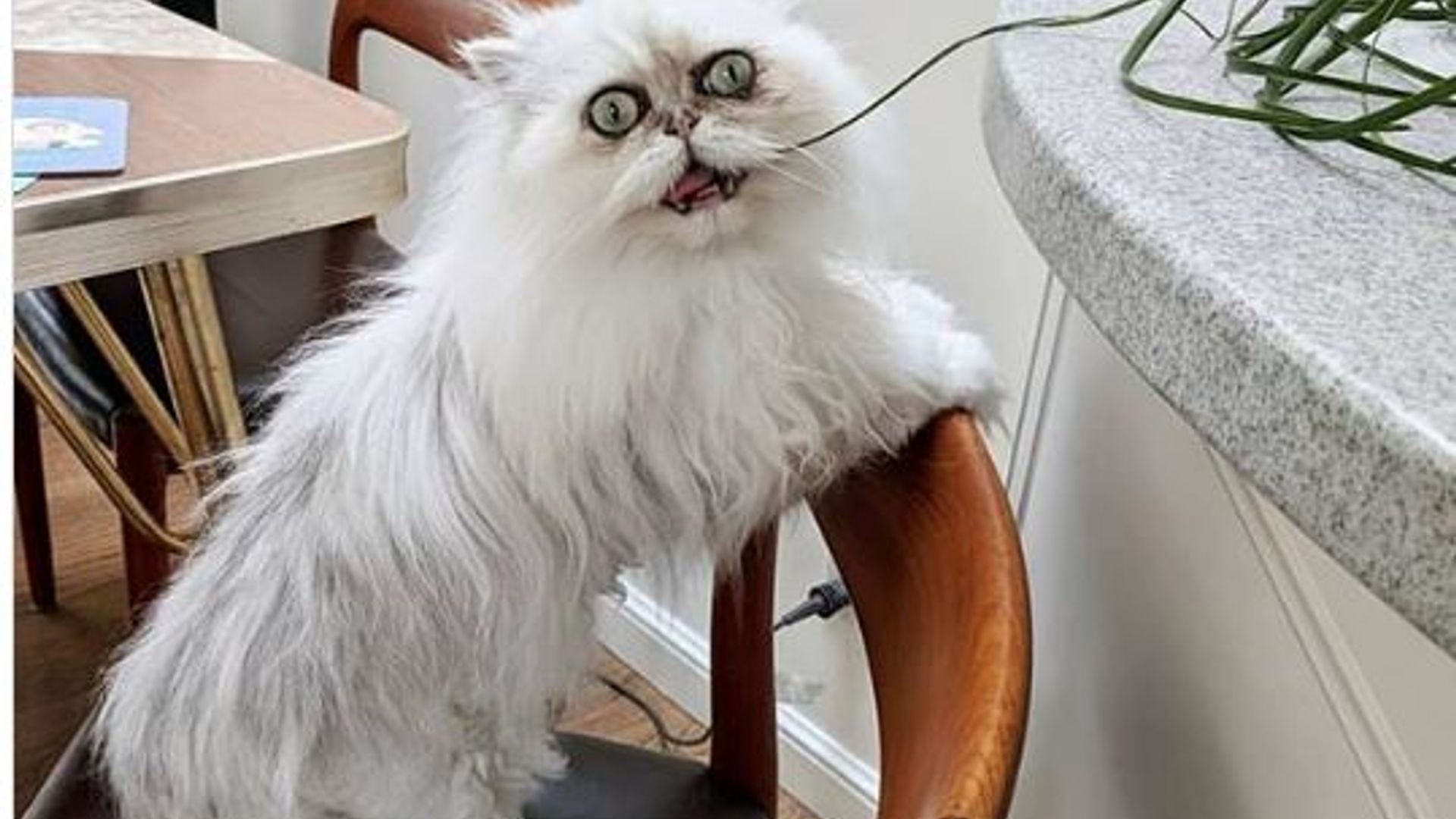 Xotinimni sikayotgan yigitlar (haqiqiy video) Odessada jinsiy aloqa video