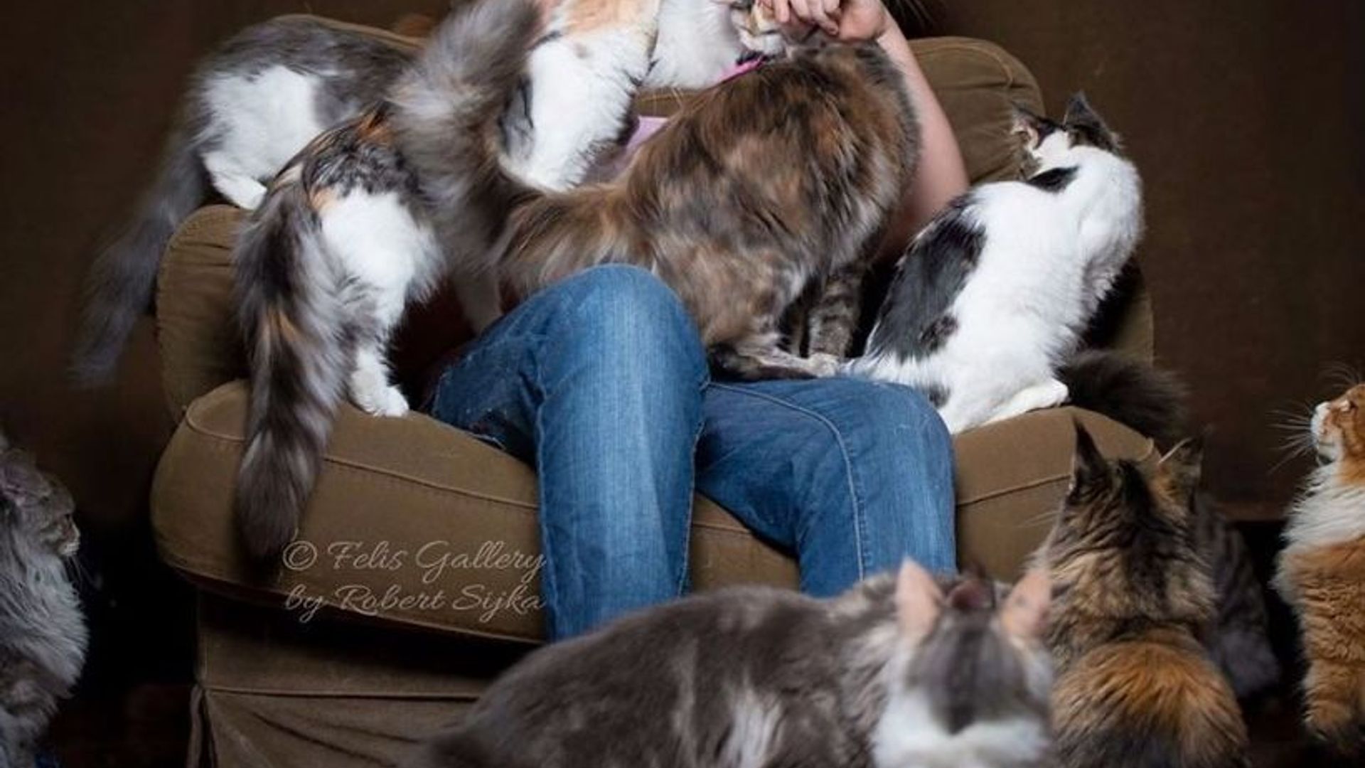 Jinsiy aloqa qilish qiyinroq Jiyan azosi