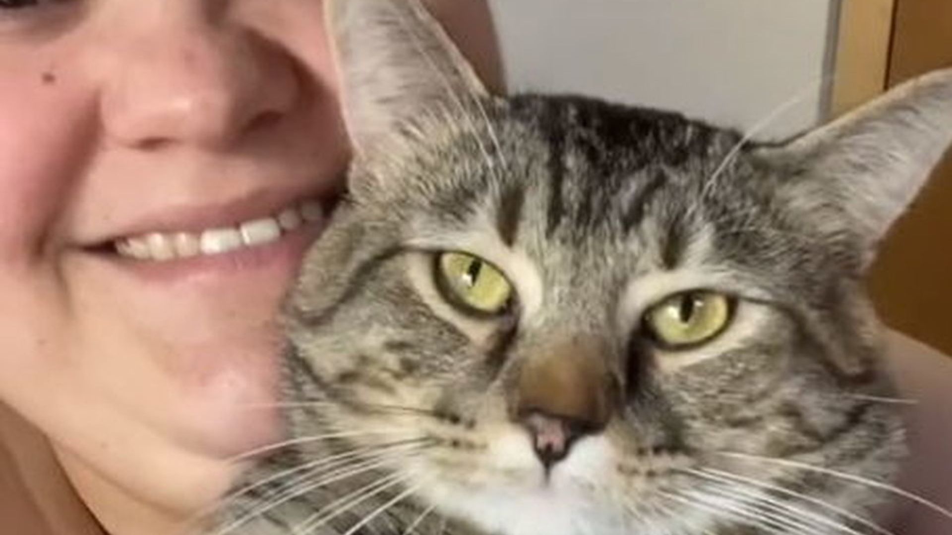 Yalangoch Sisi Kate fotosurati Onlayn BDSM tit pirsing videolari