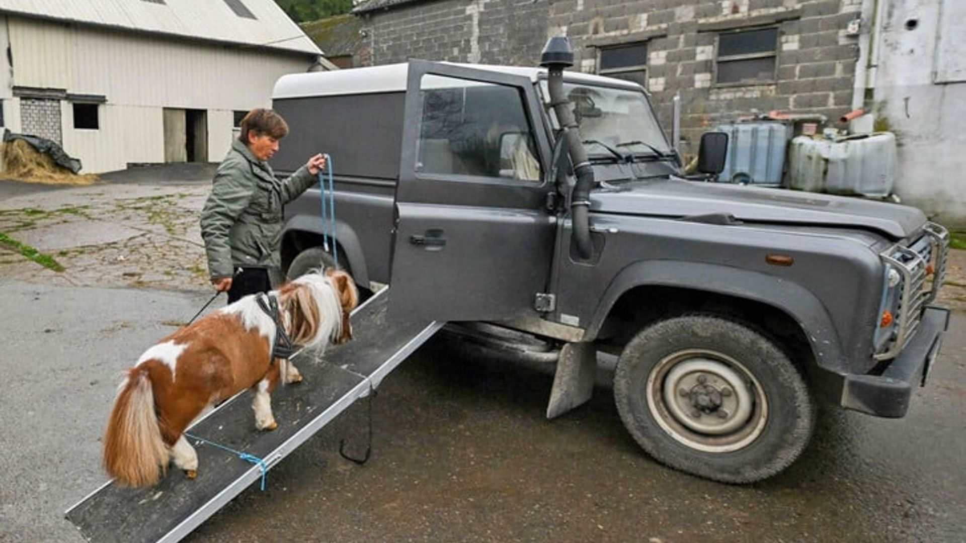 Uyali telefonda suratga olingan haqiqiy uy qurilishi videosi Engels jinsiy aloqa
