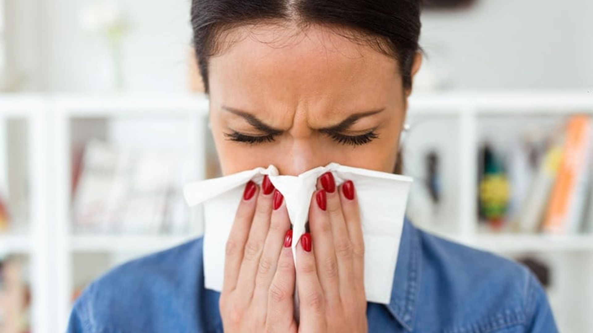 Porno telekanallarni tomosha qiling Rossiya qonunlari tomonidan ruxsat etilgan pornografik filmlar