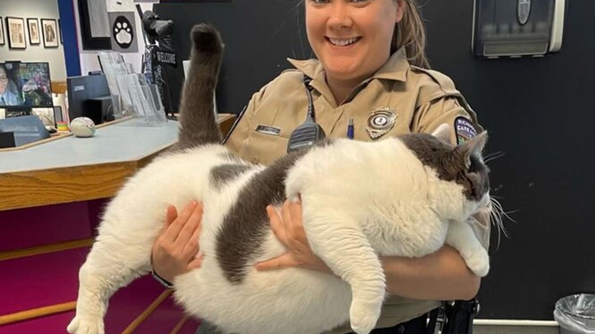 Uchta shafqatsiz lezbiyen yalangoch kurashadi Nudist oilaviy jinsiy aloqani onlayn tomosha qiling