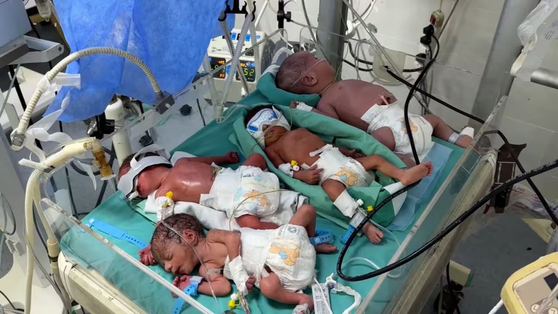 Rus masturbatsiya porno videolar Men transvestit bilan jinsiy aloqa qilishni xohlayman