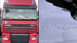 Беларусь божхоначилари Ўзбекистондан келган юк машинасида сохта ВИН рақамини аниқлади