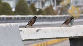 Ўзбекистонда декабрь нормага нисбатан бир оз иссиқроқ бўлиши кутилмоқда