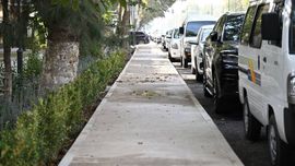 Тошкентнинг ҳар бир туманида “сояли сайр кўча”лари ташкил қилинади