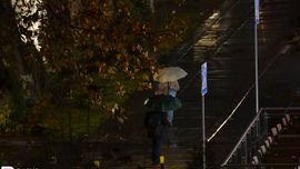 “Ўзгидромет” 17 декабрда ёмғир ёғадиган ҳудудларни эълон қилди