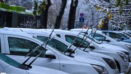 Қиш ишини бошлади: Тошкентда ёғган қор манзаралари (фото)