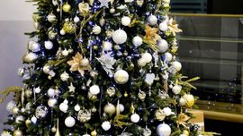 Ўзбекистонда давлат идораларига бюджет ҳисобидан Янги йил корпоративлари ўтказиш тақиқланди